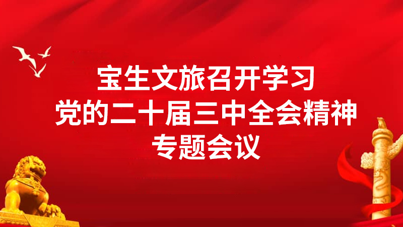 宝生文旅召开学习党的二十届三中全会精神专题会议